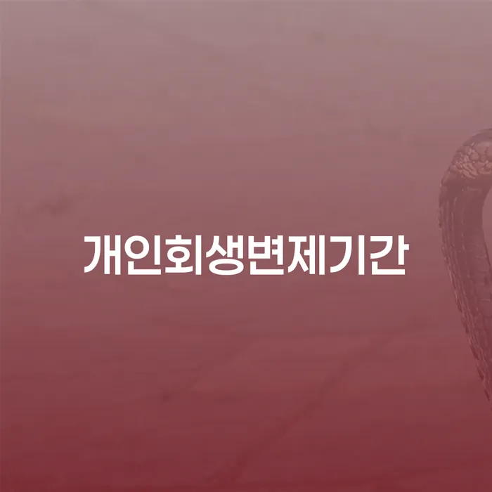 사채이자가 감당이 안될 때 신용회복 관련