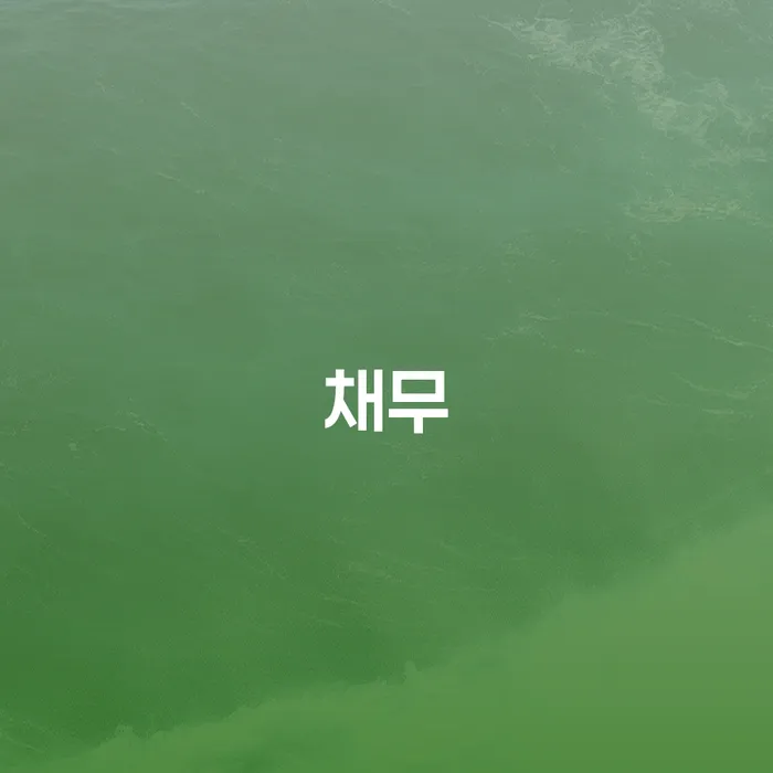 개인회생 수임료 저렴하고 대출 연체 개인회생 정보알아보기
