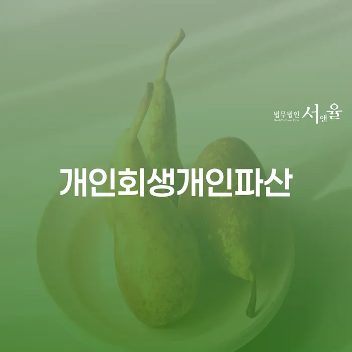 부부개인회생 대출 받은 돈채무조정 법무사추천