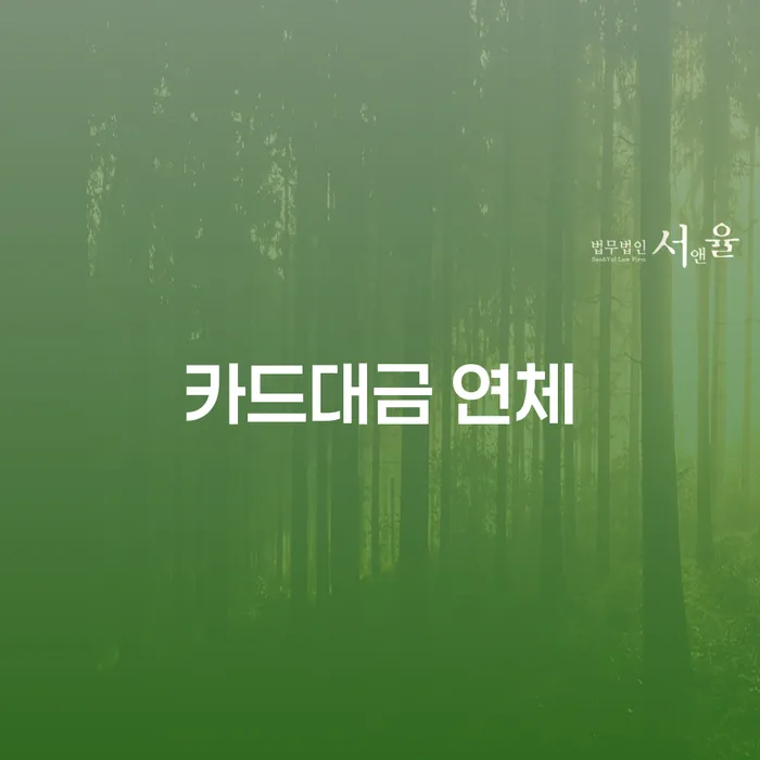 개인회생 면책 후 재신청 대출 받은 돈채무조정 실제사례