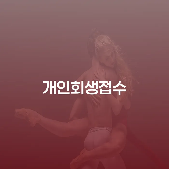 채무불이행자명부등재 개인회생 제도 신청절차에