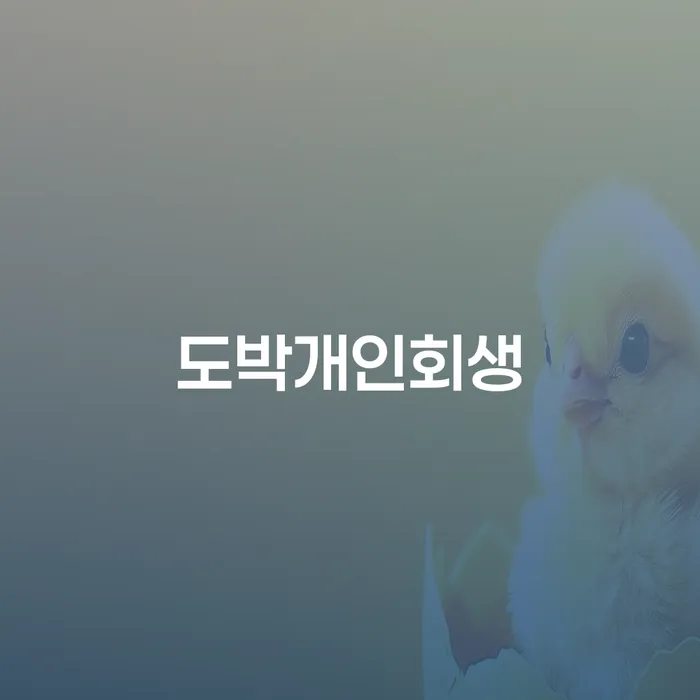 개인회생 절차 대출 받은 돈채무조정 정해지는