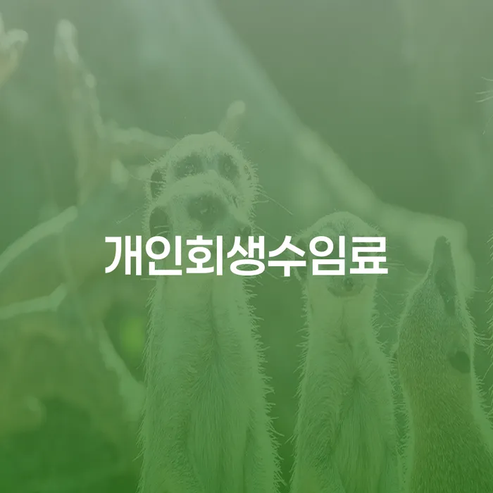 신용불량자휴대폰개통 신용회복 성공은