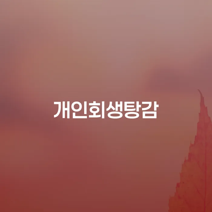 가족명의대출 연체 시 개인파산 잘신청하기