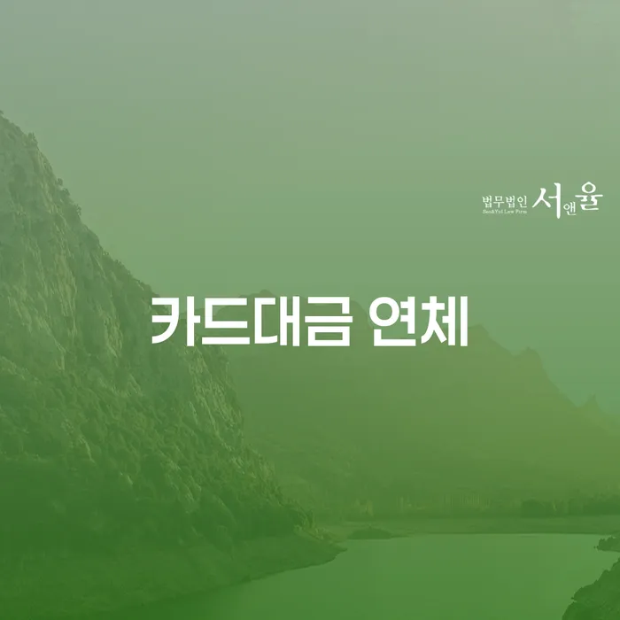 괴산군 기대출과다자대환대출 연체 시 채무조정제도을 이용하여 알아보는 꿀 팁!