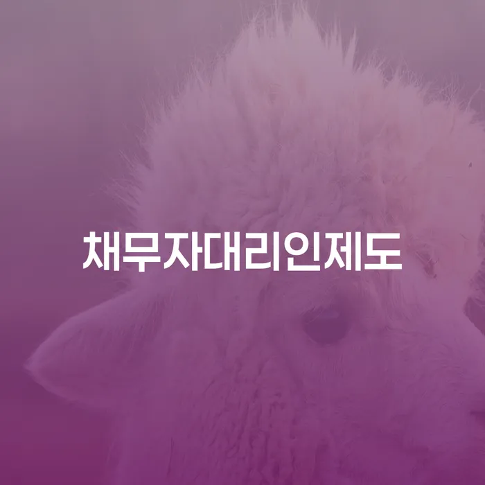 대구 회생 개인파산 잘하기