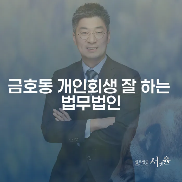 금호동 개인회생 잘 하는 법무법인
