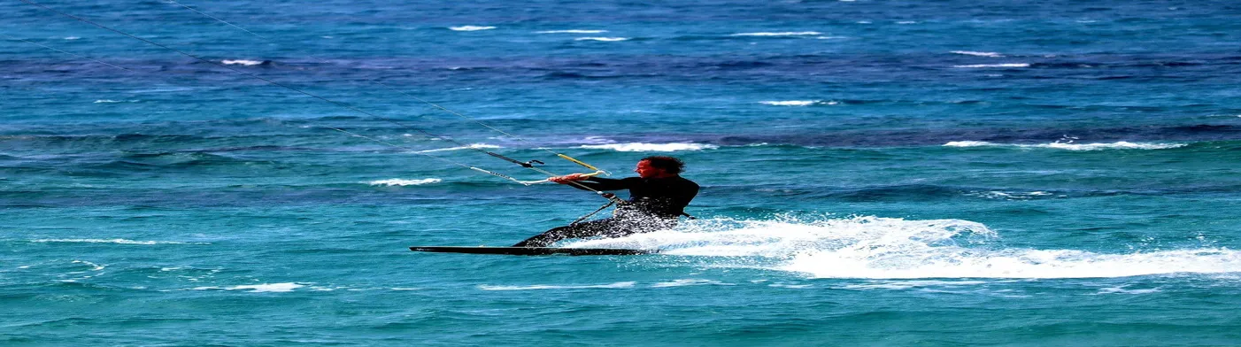 법무법인 서앤율