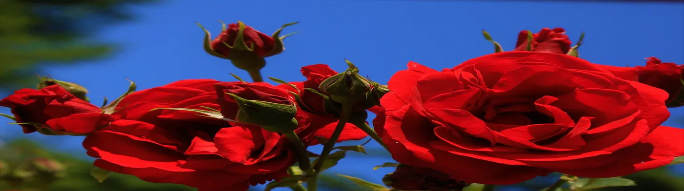 법무법인 서앤율