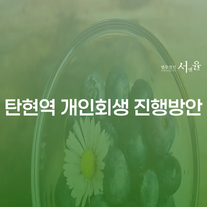 탄현역 개인회생 진행방안