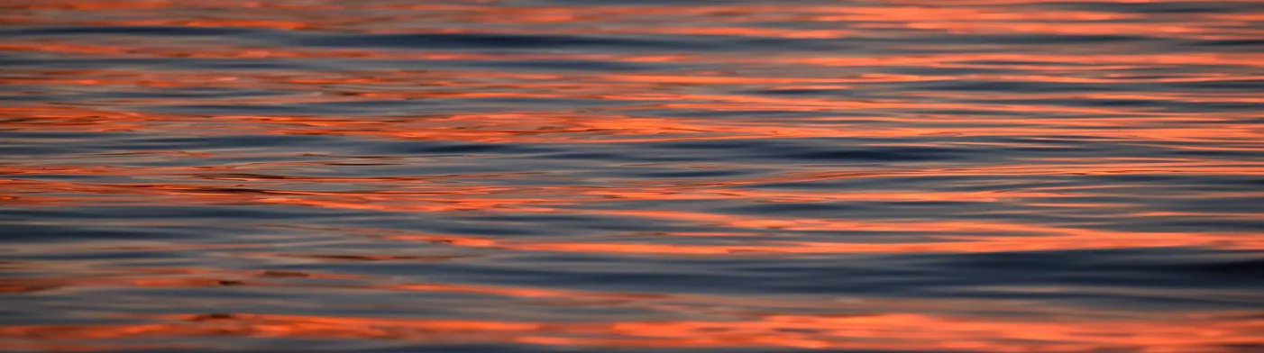 법무법인 서앤율