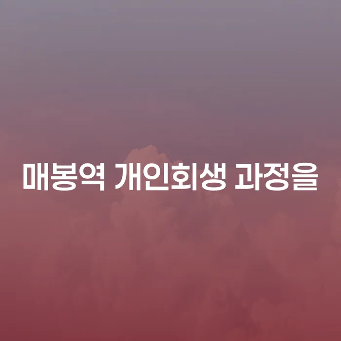 매봉역 개인회생 과정을