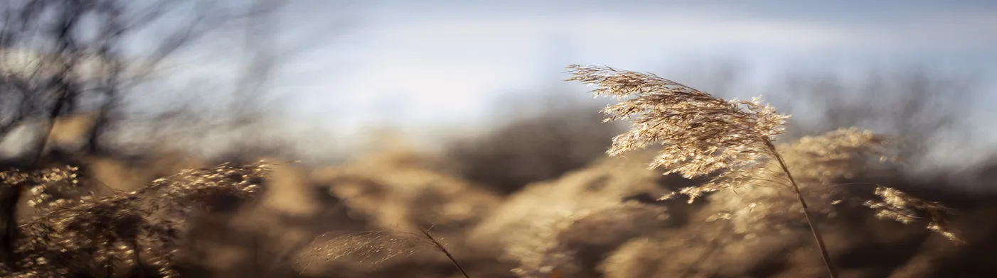 법무법인 서앤율