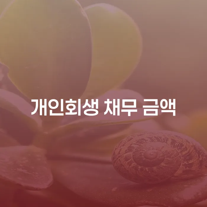 개인회생 채무 금액, 얼마나 알아보고 계신가요?