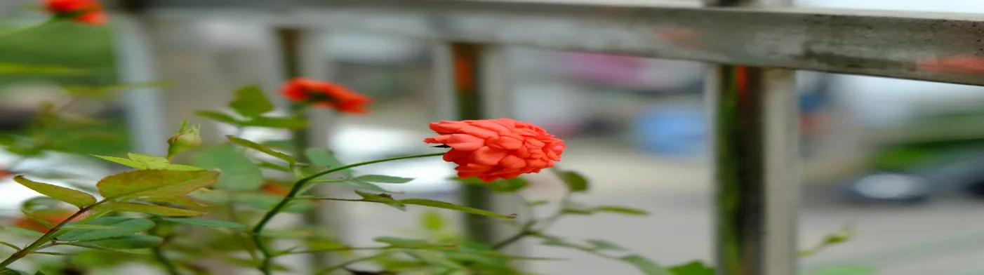 법무법인 서앤율