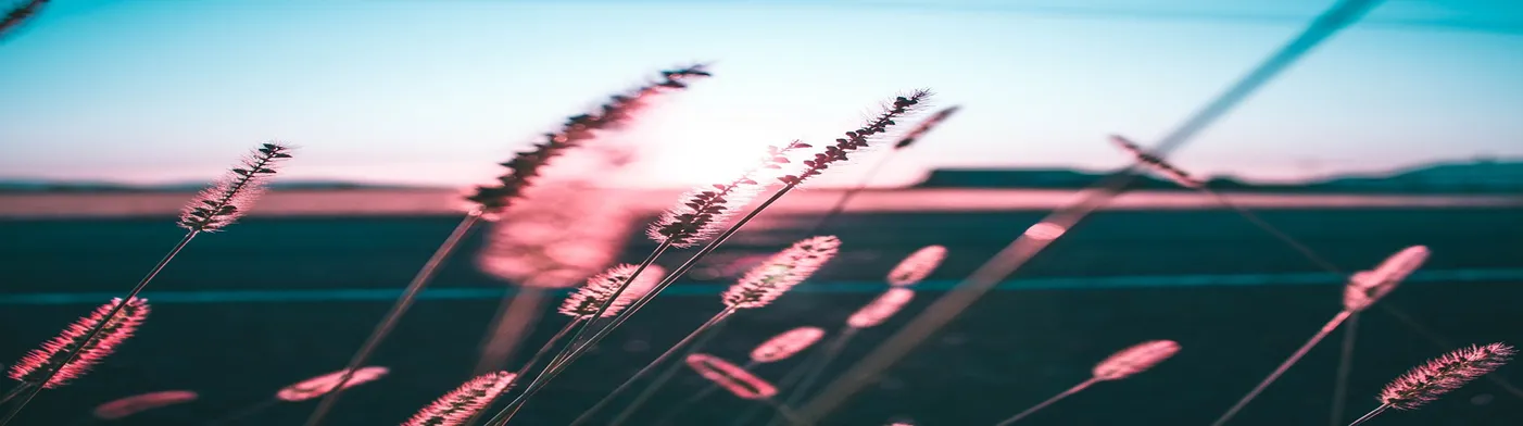 법무법인 서앤율