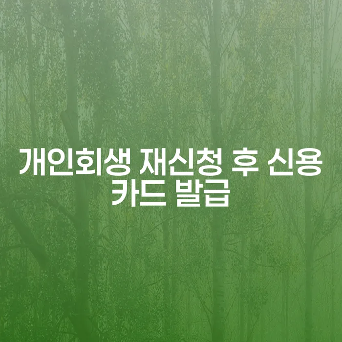 개인회생 재신청 후 신용카드 발급, 언제 가능할까요?