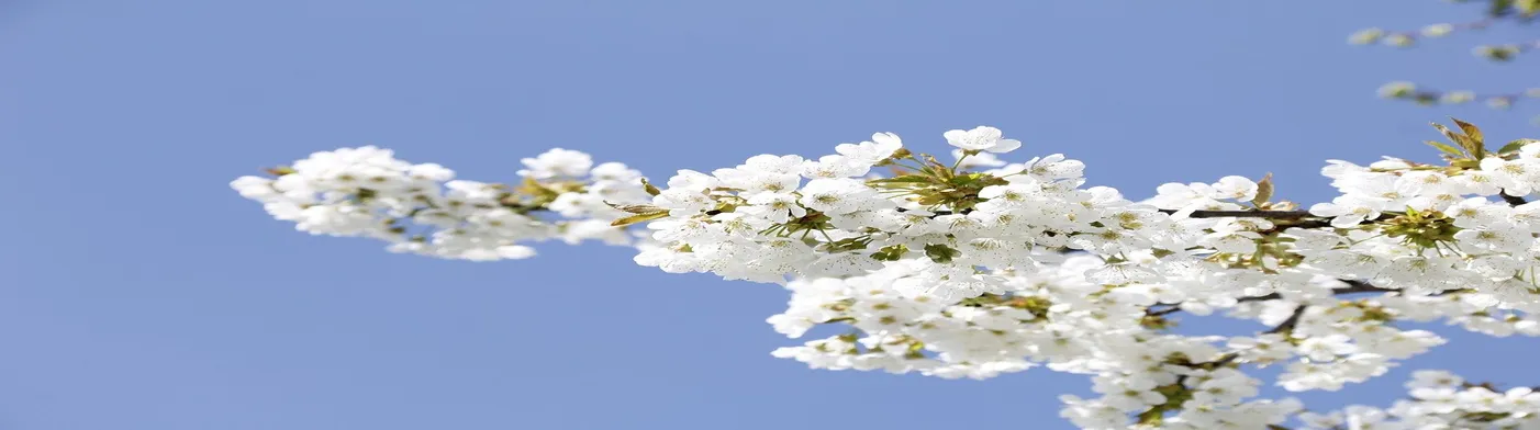 법무법인 서앤율