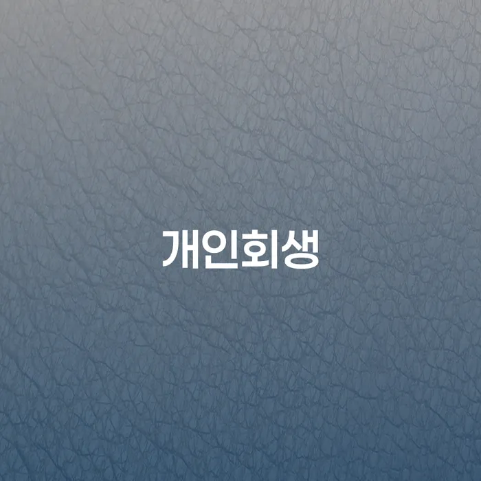 논산 개인회생 절차와 성공적인 사례 이해하기