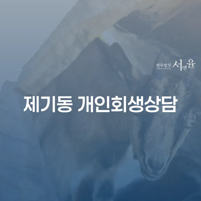 제기동 개인회생상담: 채무 문제 해결을 위한 최선의 선택은?
