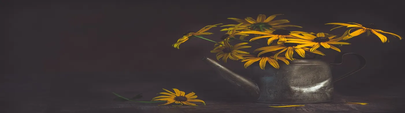 법무법인 서앤율