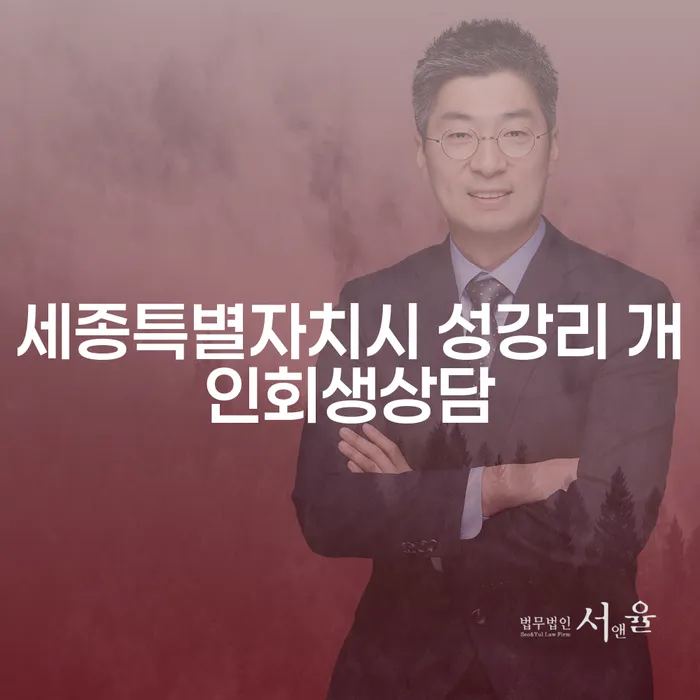 세종특별자치시 성강리에서 개인회생 상담을 받아야 하는 이유는 무엇일까요?