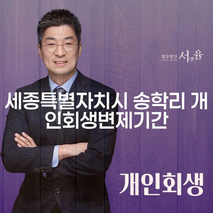 세종특별자치시 송학리에서 개인회생을 통해 안전한 재정 관리 방법은?